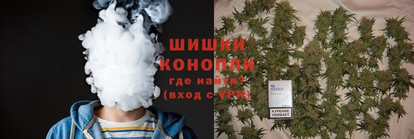 шишки Лихославль