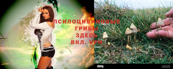 спайс Лиски
