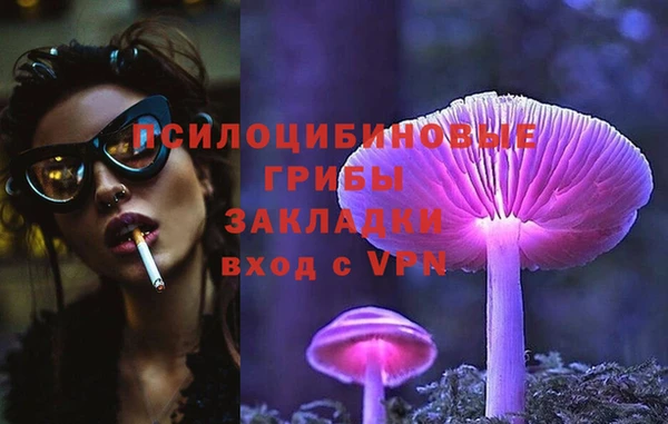 apvp Володарск
