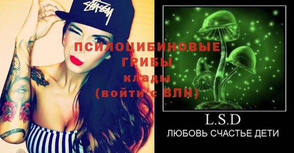 шишки Лихославль
